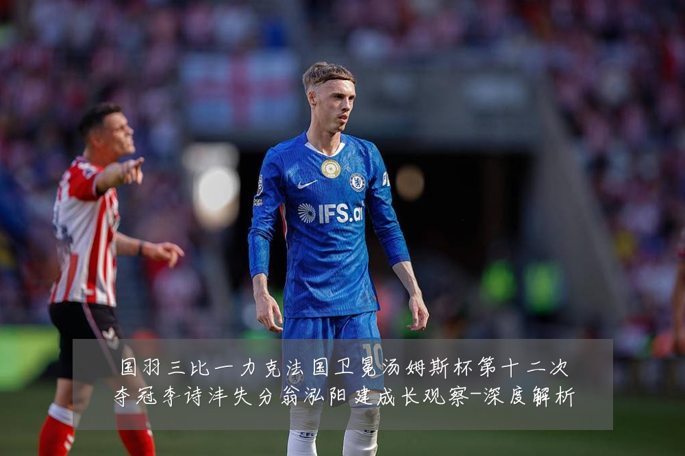 国羽三比一力克法国卫冕汤姆斯杯第十二次夺冠李诗沣失分翁泓阳建成长观察-深度解析