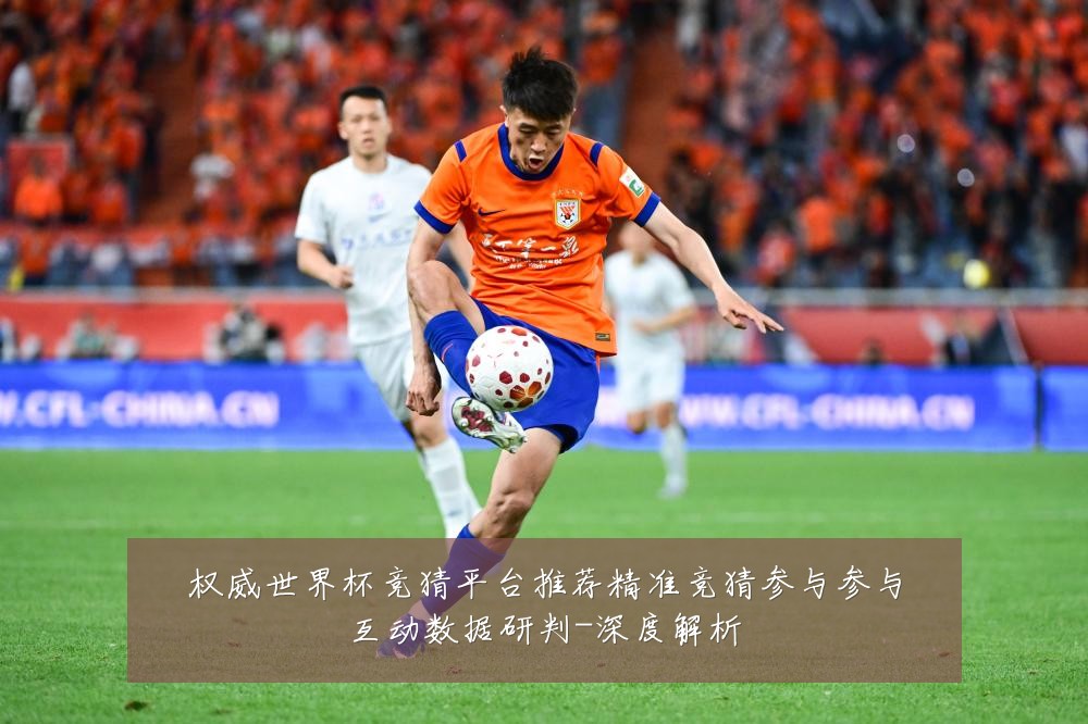 权威世界杯竞猜平台推荐精准竞猜参与参与互动数据研判-深度解析